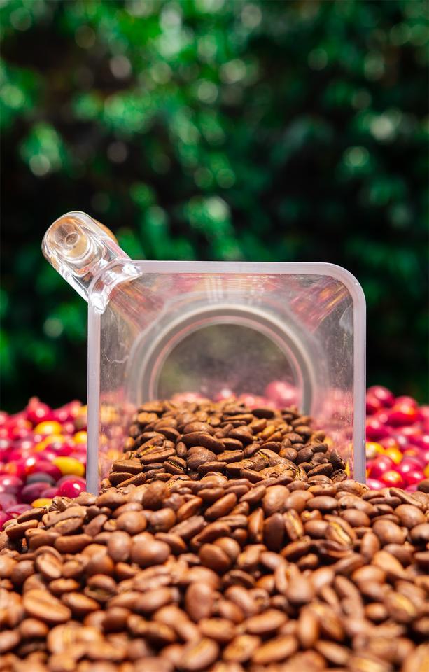 Café Cameyros producto real