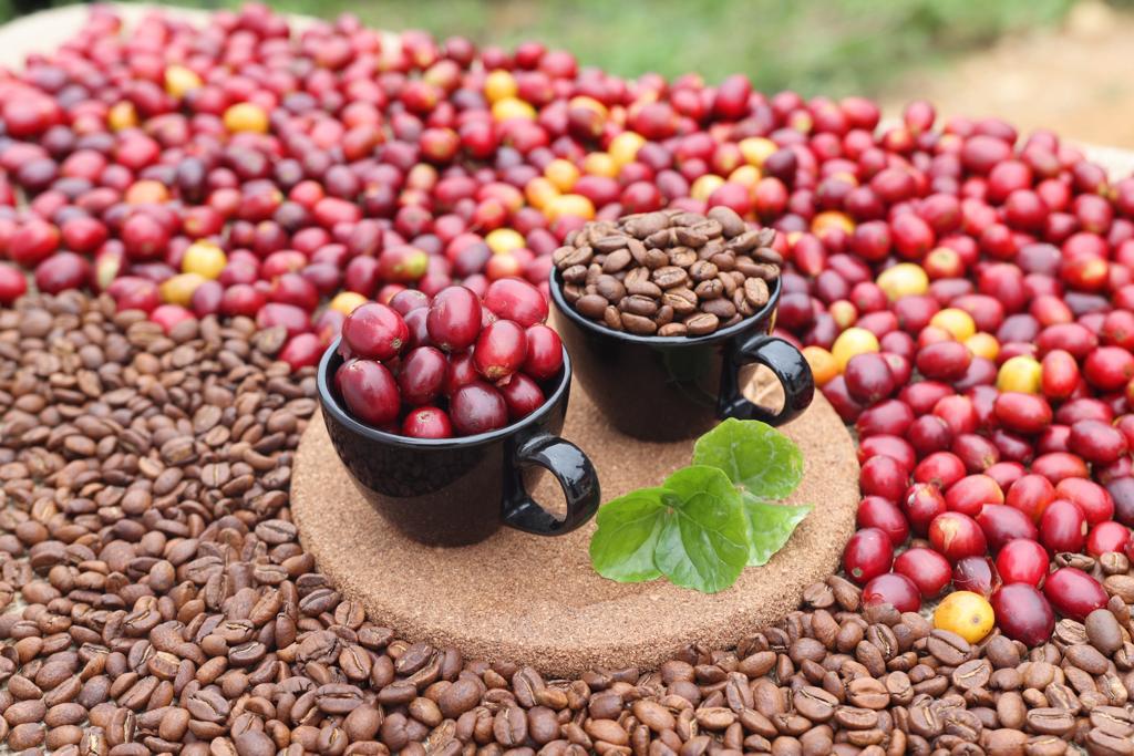 Historia de Cameyros Café